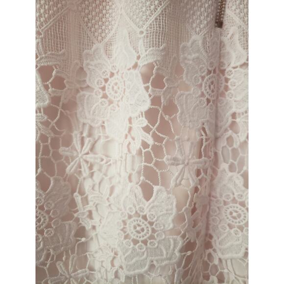 Ted Baker Dixa Guipure Lace Peplum Dress Light Pink Size 3 (US 8) - Picture 8 of 10